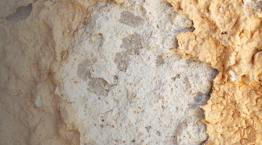 Why choose water damage restoration service for emergency flood repair in San Antonio